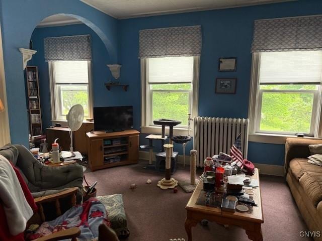 213 N Madison St, Rome-Inside, NY 13440 - carpeted living room with radiator heating unit, arched walkways, and plenty of natural light