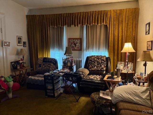 213 N Madison St, Rome-Inside, NY 13440 - view of carpeted living room