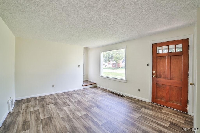 331 S Shore Blvd, Lackawanna, NY 14218 - foyer entrance with wood finished floors, plenty of natural light, and a textured ceiling