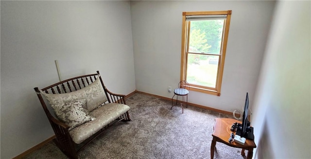 527 Harper Rd, Harpersfield, NY 13786 - living area with carpet flooring and healthy amount of natural light