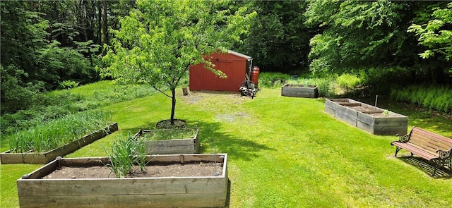 527 Harper Rd, Harpersfield, NY 13786 - view of grassy yard featuring a vegetable garden, a shed, and a view of trees
