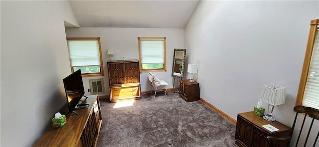 527 Harper Rd, Harpersfield, NY 13786 - sitting room featuring dark carpet and vaulted ceiling