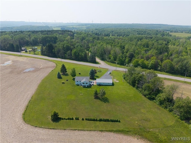 7727 Dewitt Rd, Pike, NY 14024 - aerial view of a forest