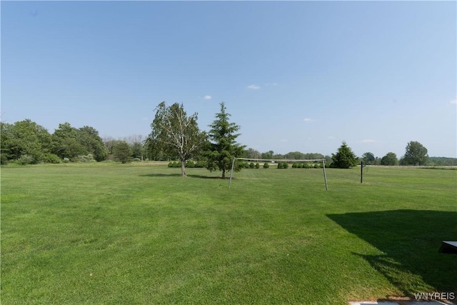 7727 Dewitt Rd, Pike, NY 14024 - view of green lawn with volleyball court