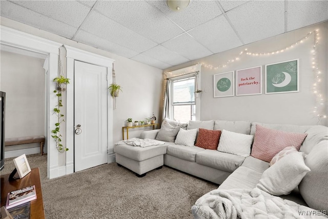 373 Elmwood Ave, Buffalo, NY 14222 - photo 29