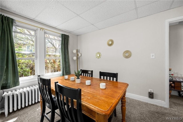 373 Elmwood Ave, Buffalo, NY 14222 - photo 36
