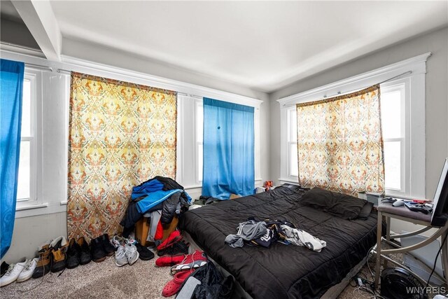 373 Elmwood Ave, Buffalo, NY 14222 - photo 40