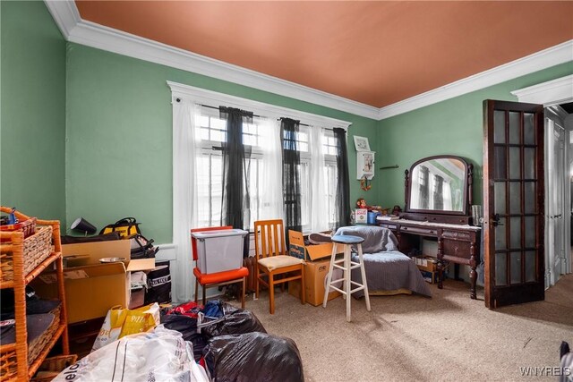 373 Elmwood Ave, Buffalo, NY 14222 - photo 48