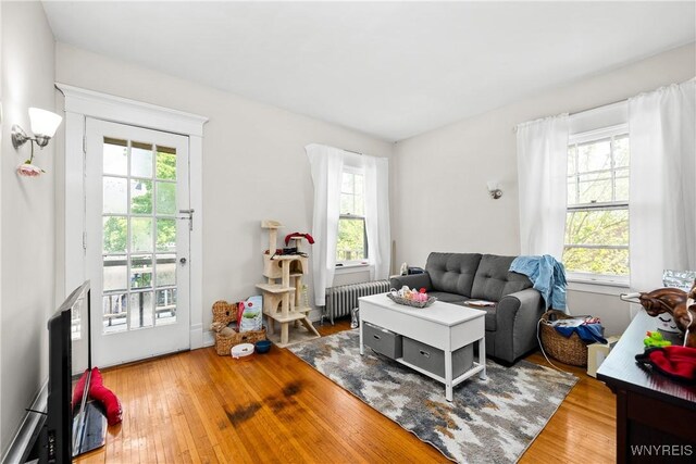 373 Elmwood Ave, Buffalo, NY 14222 - photo 20