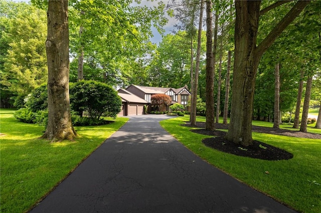 7974 Oak Brook Cir, Pittsford, NY 14534 - obstructed view of property with driveway, a front lawn, and a garage