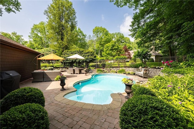 7974 Oak Brook Cir, Pittsford, NY 14534 - view of pool with a patio area, area for grilling, and view of wooded area