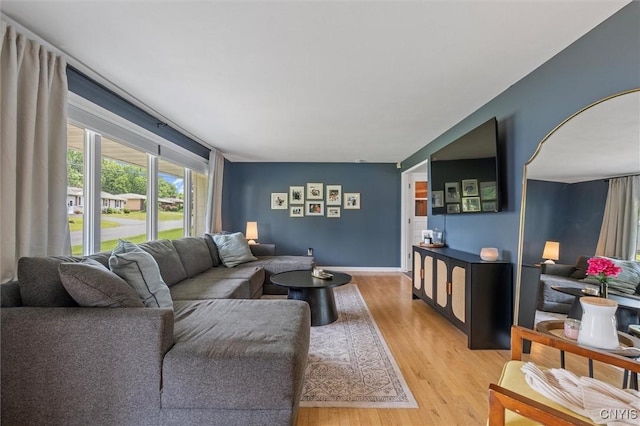 125 Huntshill Rd, Geddes, NY 13209 - living area with light wood-style floors