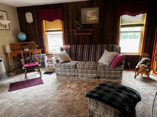 298 Maple Ridge Rd, Dekalb, NY 13681 - living room featuring carpet flooring and wooden walls