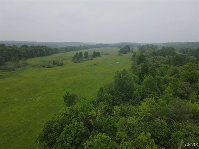 298 Maple Ridge Rd, Dekalb, NY 13681 - bird's eye view