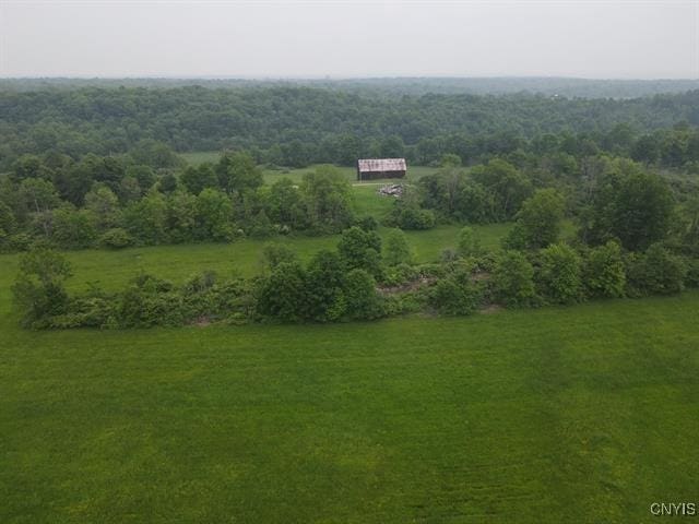 298 Maple Ridge Rd, Dekalb, NY 13681 - bird's eye view