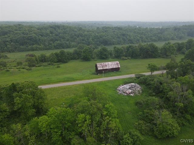 298 Maple Ridge Rd, Dekalb, NY 13681 - overview of rural landscape
