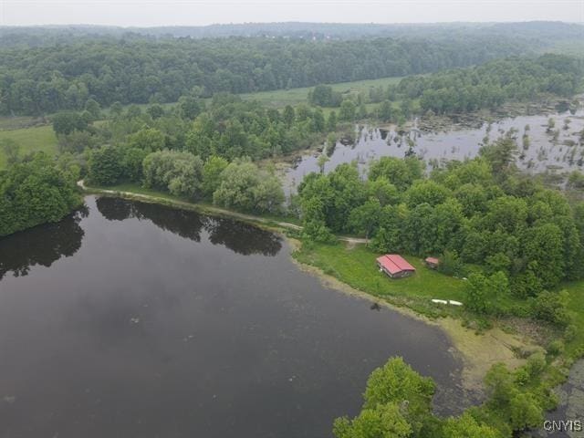298 Maple Ridge Rd, Dekalb, NY 13681 - aerial view of property's location with a large body of water and a heavily wooded area