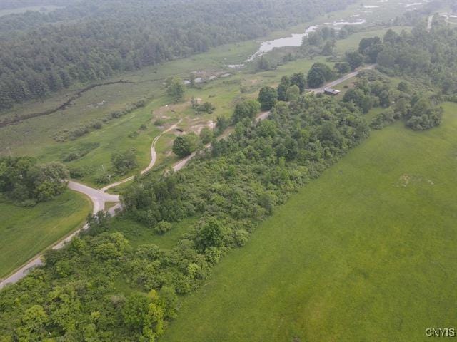 298 Maple Ridge Rd, Dekalb, NY 13681 - view of property location featuring a forest