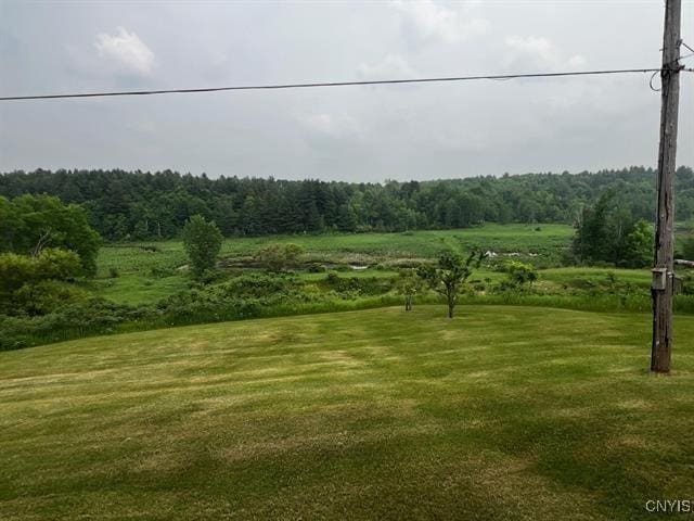 298 Maple Ridge Rd, Dekalb, NY 13681 - view of green lawn