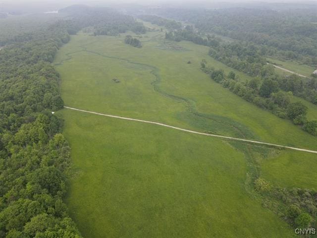 298 Maple Ridge Rd, Dekalb, NY 13681 - aerial view of sparsely populated area
