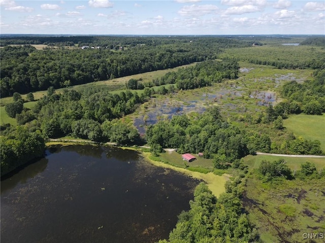 298 Maple Ridge Rd, Dekalb, NY 13681 - photo 3