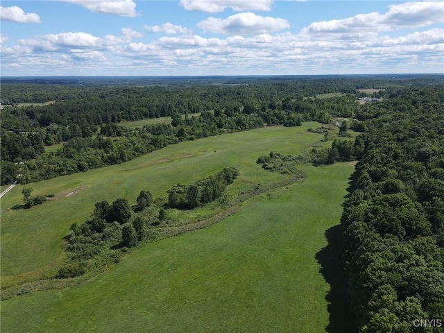 298 Maple Ridge Rd, Dekalb, NY 13681 - photo 5