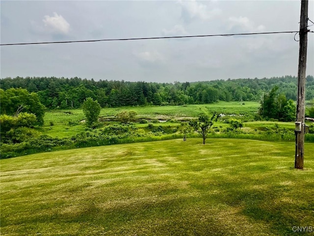 298 Maple Ridge Rd, Dekalb, NY 13681 - photo 22