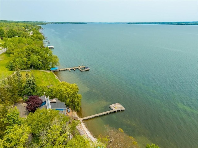 5493 State Route 89, Varick, NY 14541 - photo 2