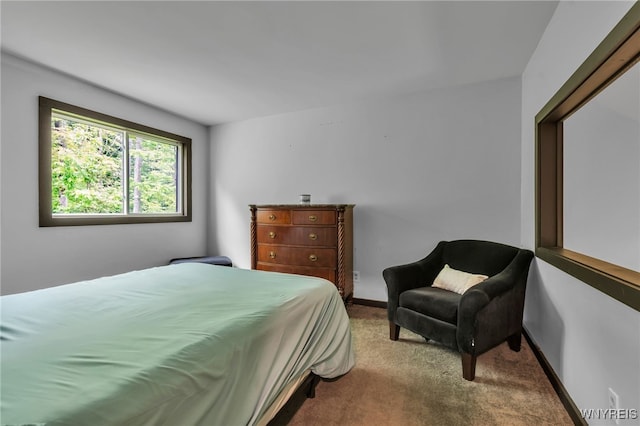 28 Woodstock Rd, Concord, NY 14069 - carpeted bedroom with baseboards