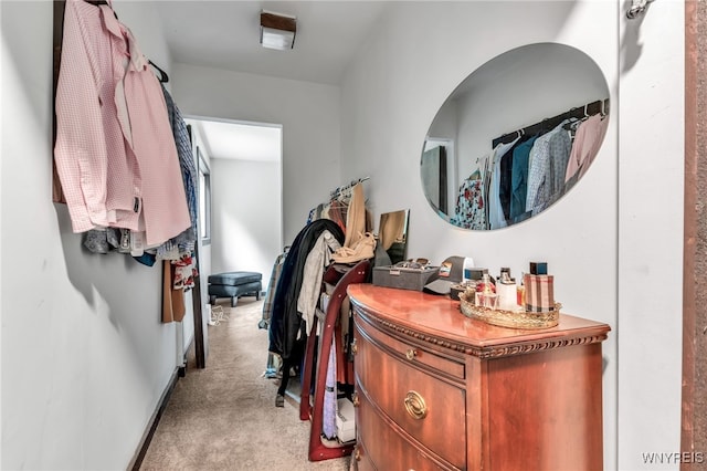 28 Woodstock Rd, Concord, NY 14069 - hall with light carpet