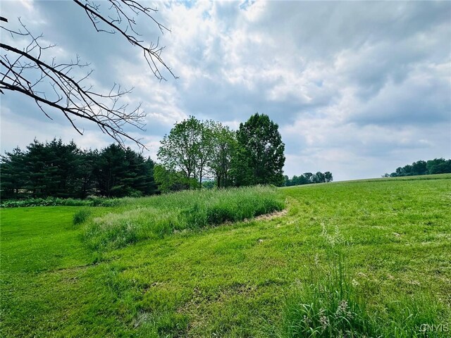 2707 Stone Rd, Freetown, NY 13101 - photo 33