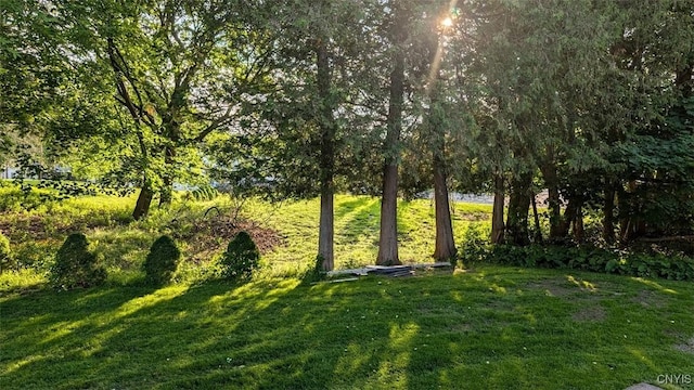 53 Utica St, Hamilton, NY 13346 - view of grassy yard