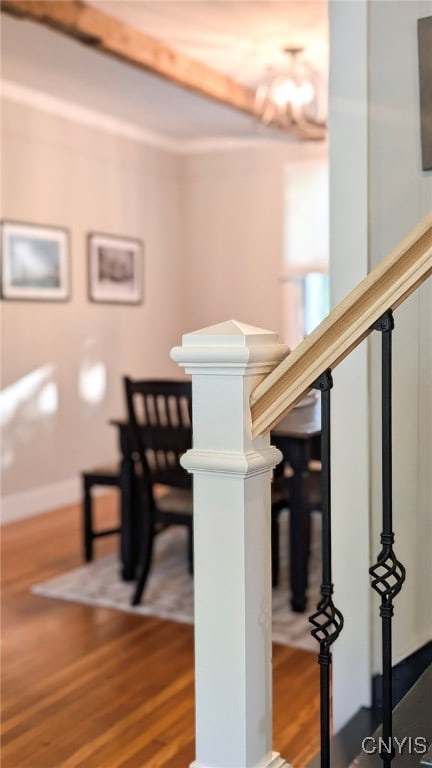 53 Utica St, Hamilton, NY 13346 - stairway featuring wood finished floors