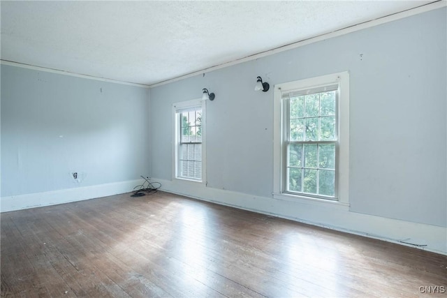 8367 S Main St, Le Ray, NY 13637 - empty room with wood-type flooring, plenty of natural light, and a textured ceiling
