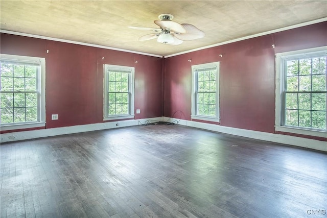 8367 S Main St, Le Ray, NY 13637 - empty room with hardwood / wood-style flooring, plenty of natural light, and a ceiling fan