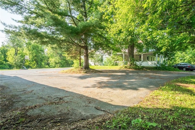 8367 S Main St, Le Ray, NY 13637 - view of yard