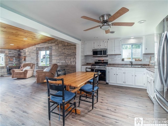 2389 Lakeside Dr, Busti, NY 14710 - kitchen with appliances with stainless steel finishes, white cabinetry, ceiling fan, healthy amount of natural light, and lofted ceiling