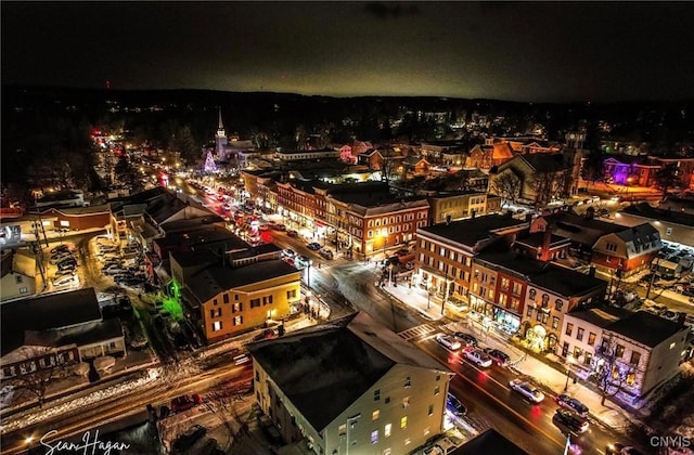 38 Sullivan St, Cazenovia, NY 13035 - view of city with a view of city lights