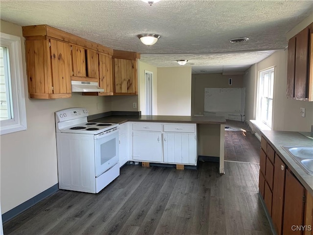 20 Park Ave, Sandy Creek, NY 13083 - kitchen with white electric range, under cabinet range hood, a peninsula, dark wood-type flooring, and a textured ceiling