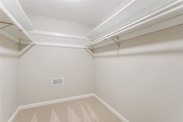 16 Aquarius Ln, Greece, NY 14612 - spacious closet with carpet flooring