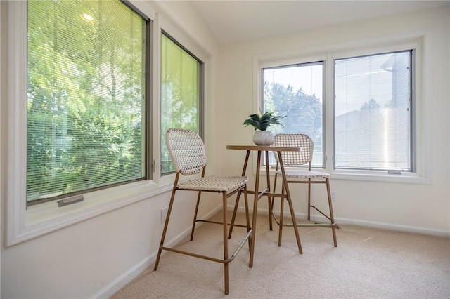 115 Crandon Way, Brighton, NY 14618 - view of sunroom