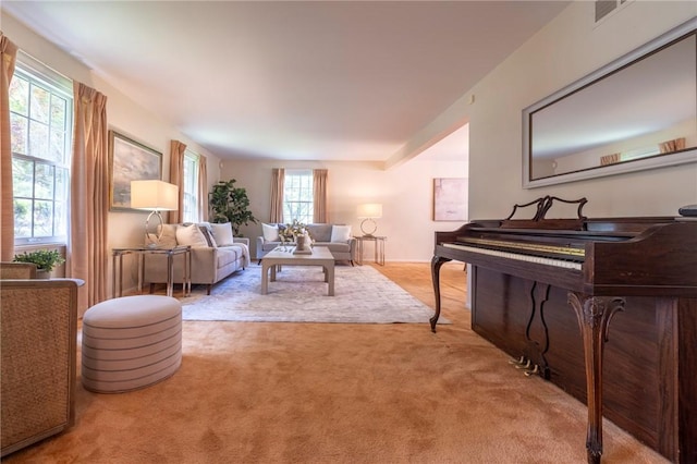 115 Crandon Way, Brighton, NY 14618 - carpeted living room with plenty of natural light