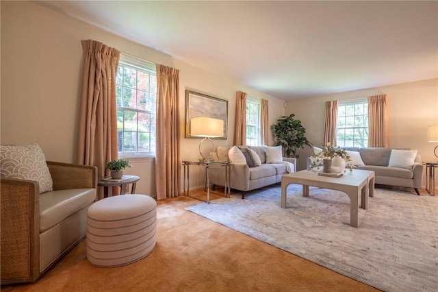 115 Crandon Way, Brighton, NY 14618 - living room featuring light carpet
