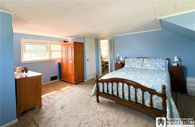 2411 Lakeside Dr, Busti, NY 14710 - bedroom with carpet floors
