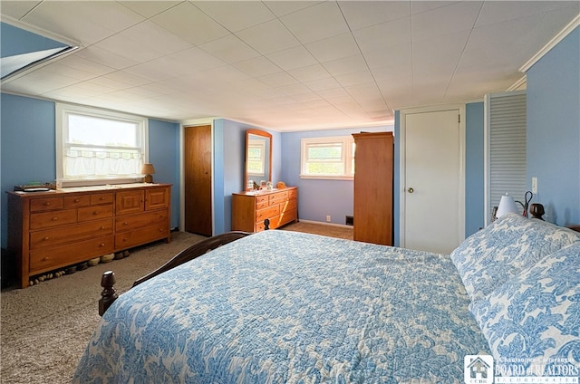 2411 Lakeside Dr, Busti, NY 14710 - bedroom with carpet