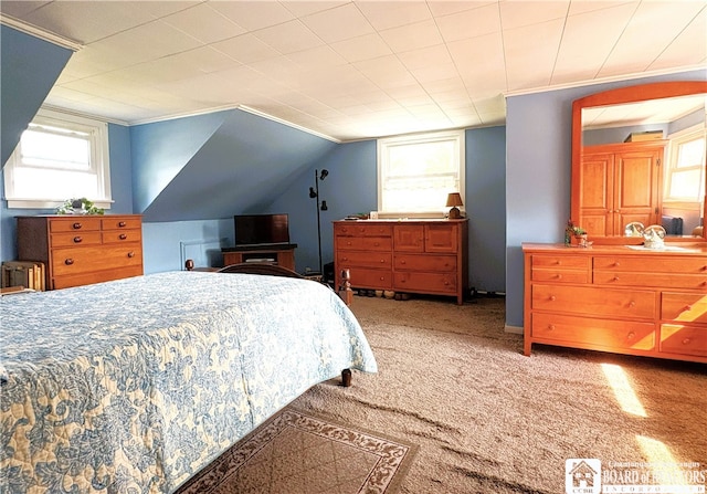 2411 Lakeside Dr, Busti, NY 14710 - carpeted bedroom with crown molding and a sink