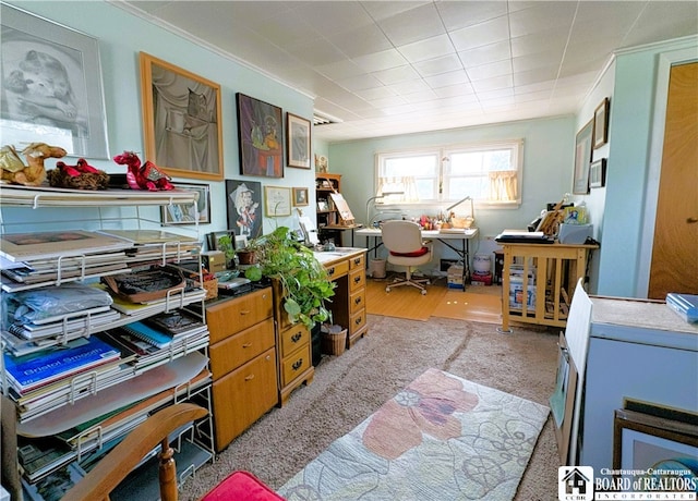2411 Lakeside Dr, Busti, NY 14710 - office area featuring light carpet
