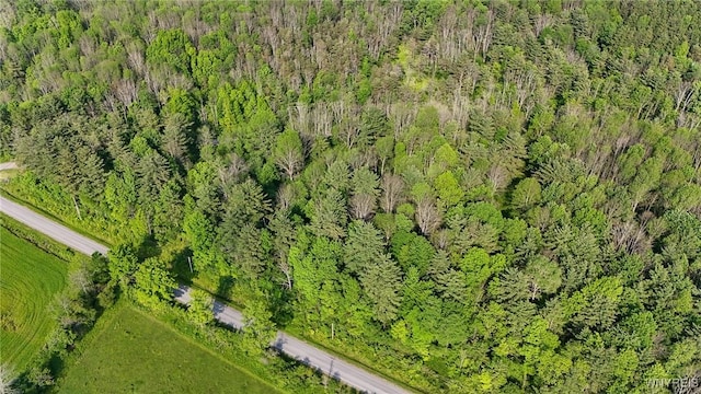 00 Lamont Rd, Angelica, NY 14709 - photo 1
