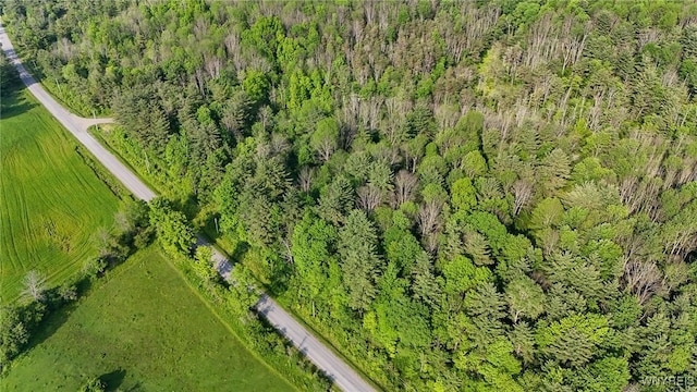 00 Lamont Rd, Angelica, NY 14709 - photo 2