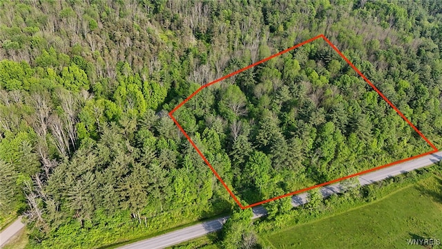 00 Lamont Rd, Angelica, NY 14709 - photo 3